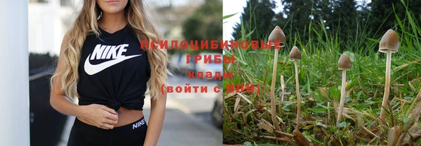 прущая мука Ладушкин