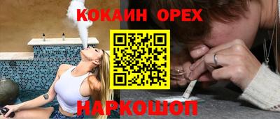 СК Кандалакша