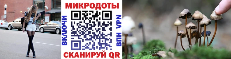 Псилоцибиновые грибы Psilocybe  закладки  Мелеуз 