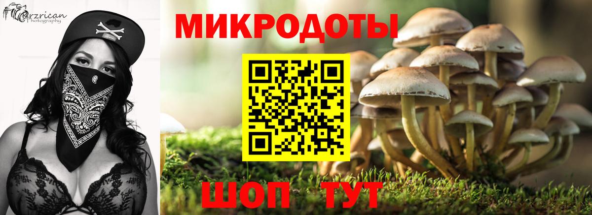 Галлюциногенные грибы Cubensis  Галлюциногенные грибы мухоморы  купить закладку  Мелеуз  Вход с VPN 